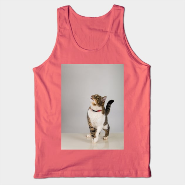 curious cat looking up Tank Top by 1STunningArt